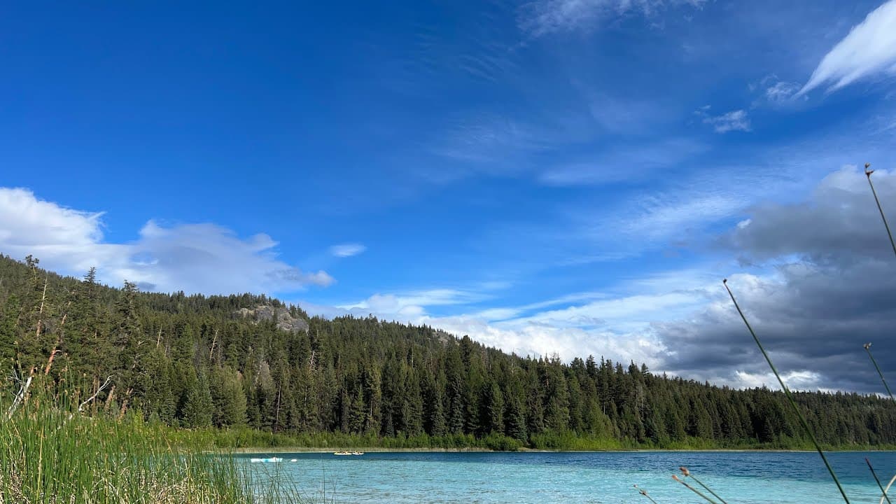 野外生存看看星鏈的速度